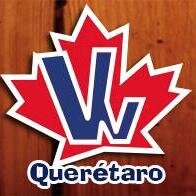 vwingsqro's profile picture. 