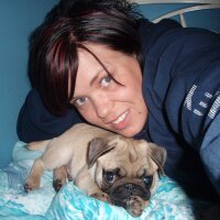 SmooshFace Pugz (@smooshface21) 's Twitter Profile Photo