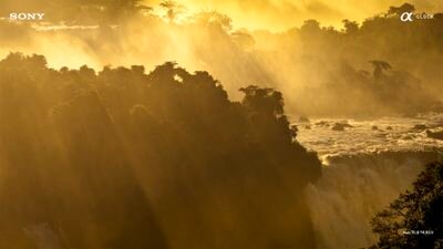 epmanu88's profile picture. 