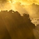 Elton Poole - @epmanu88 - Twitter