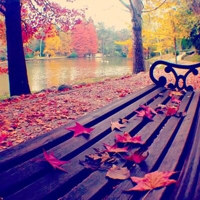 الخاااص ممنوع