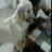 gastonarrudi's profile image