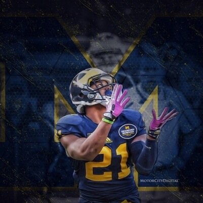 #GoBlue Followed by @JJGallon