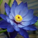 sarah wellman - @SarahSarahwell1 - Twitter