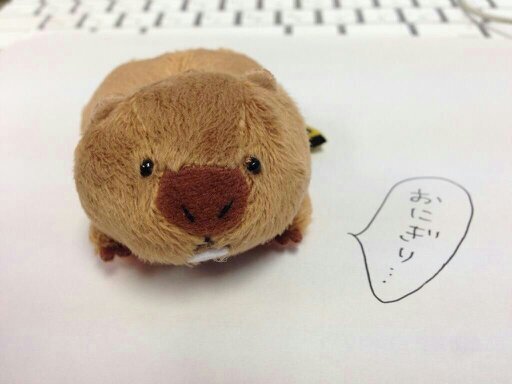 ふなっしーとキートンさんとサダヲが好きです！一生はもっとすきです。ＢＴＳもすきです！最近スキズも気になりはじめました☺️セブチも少し😆
