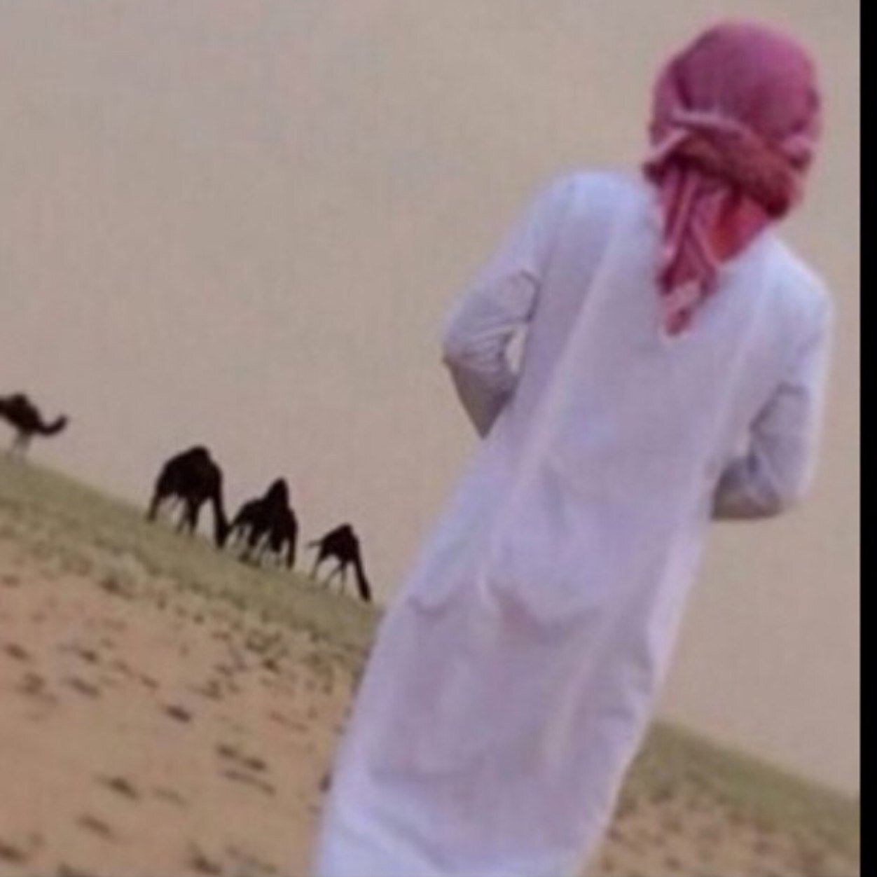 dooosry1's profile picture. جيتني صدفهہ و حبيتك كثير ، والصدف مآ فيہ أحد يختارهآ..♡