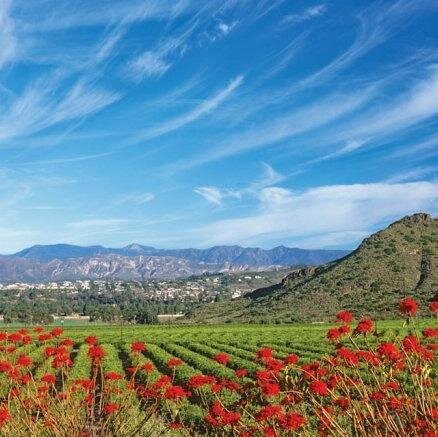 CamarilloEvents's profile picture. We're all about events. Join our campaign to #FindMoreDoMore