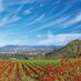 Camarillo Events (@camarilloevents) Twitter profile photo
