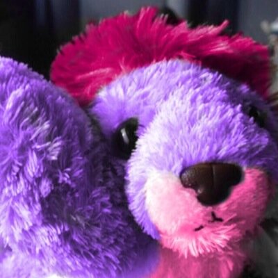 Danielle The Lion here :) Crushing on Daniel The Lion :* My mommy likes Dan's daddy ;)