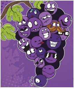 Grape Types