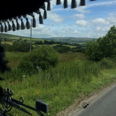 mikytg's profile picture. 