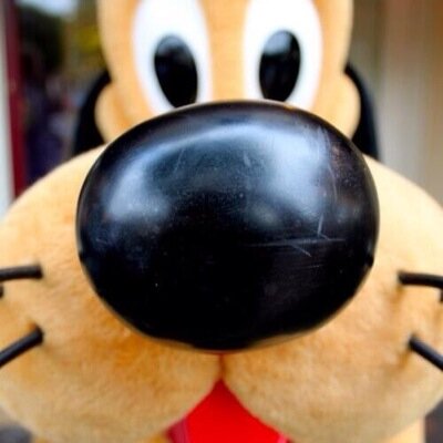 法政大学 社会学部 1ねん (๑ơωơ)