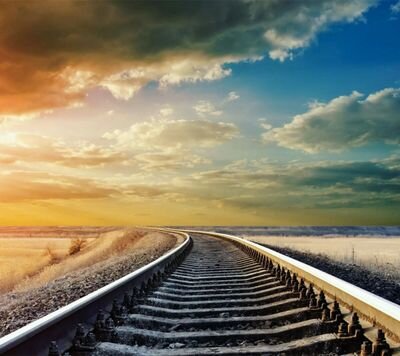 wengyuxin's profile picture. 逗