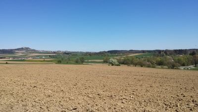 miika109's profile picture. 