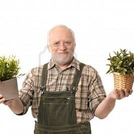 mygreentools's profile picture. 