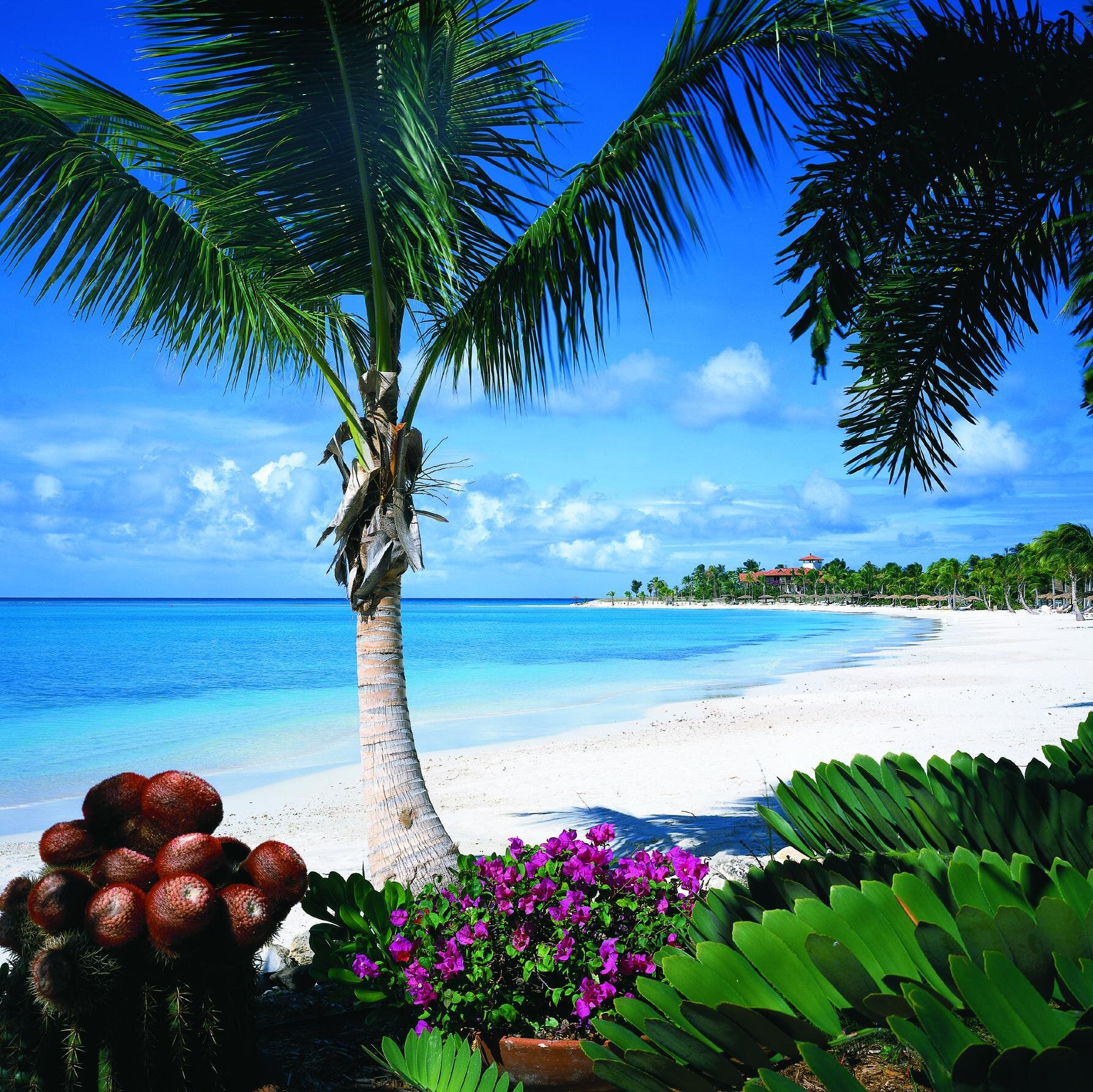 OliviaRivaPR's profile picture. Riva PR is a leading global Public Relations agency specialising in travel & tourism, hotels, villa resorts, real estate developments and lifestyle clients.