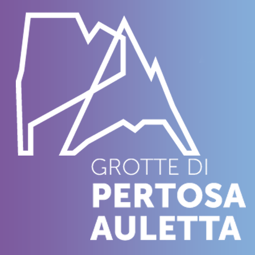 PertosAuletta's profile picture. 