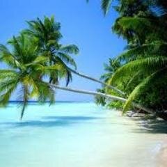 kevinindonesia's profile picture. oil and gas professional, part-time investor - mostly in biotechs starting with Elan