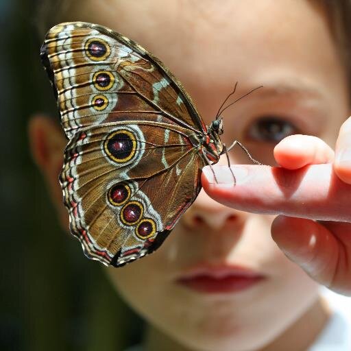 CPRnet's profile picture. Children, their World, their Education.