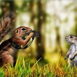 Vicentcalderong's profile picture. 