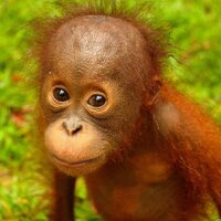 Nez (@fraggle73) 's Twitter Profile Photo