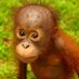 Nez (@fraggle73) Twitter profile photo Nez (@fraggle73) Twitter profile photo