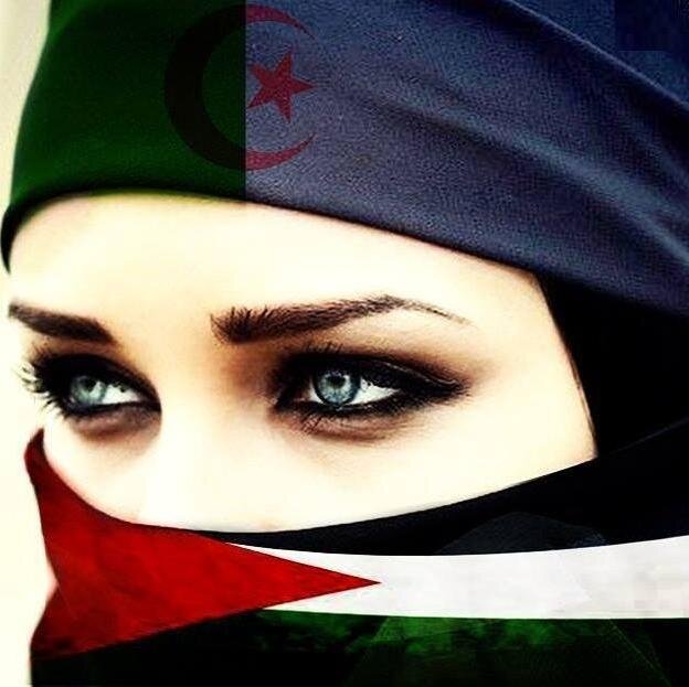 nahlaah53455404's profile picture. 