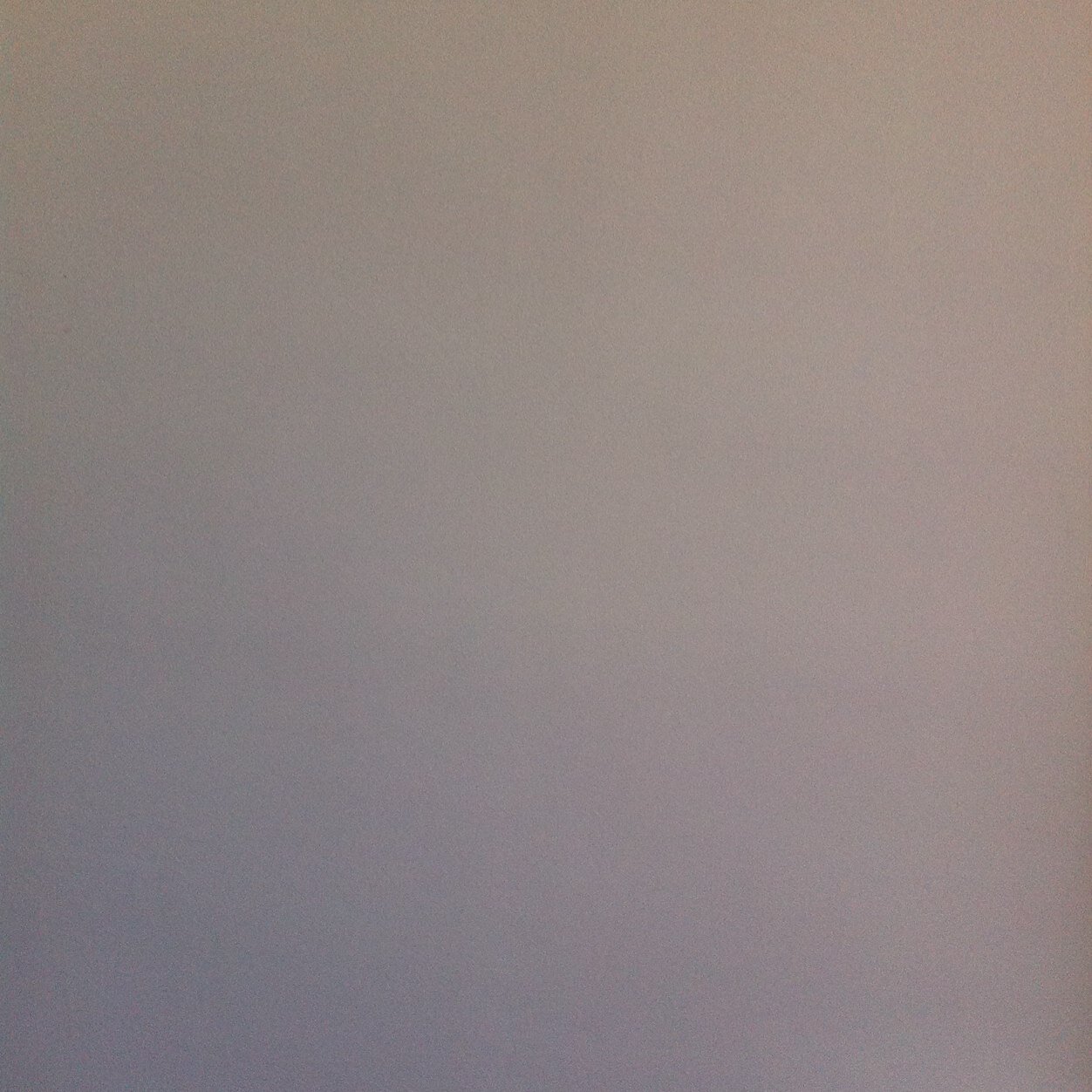 nadaltrader's profile picture. 