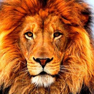 Ishara6666's profile picture. 
