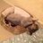 judysch8's profile image