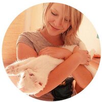 Anne Hechtfisch (@artilityswelt) Twitter profile photo
