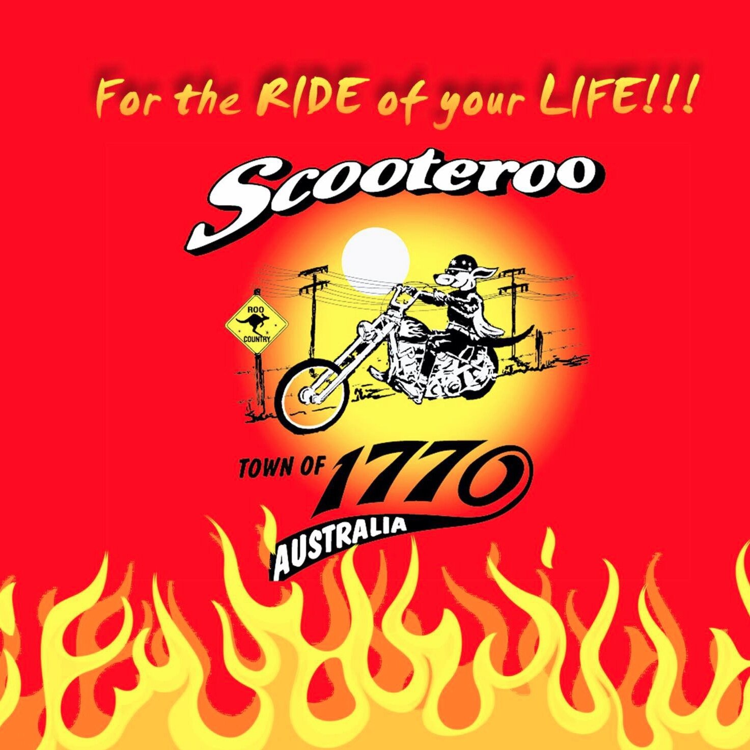 Scooteroo is an awesome 3hr tour around Agnes Water in Queensland. Spot kangaroos whilst riding a wicked chopper, then sit back and relax to watch the sunset.
