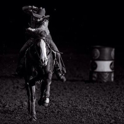 Love horses dont hate them..