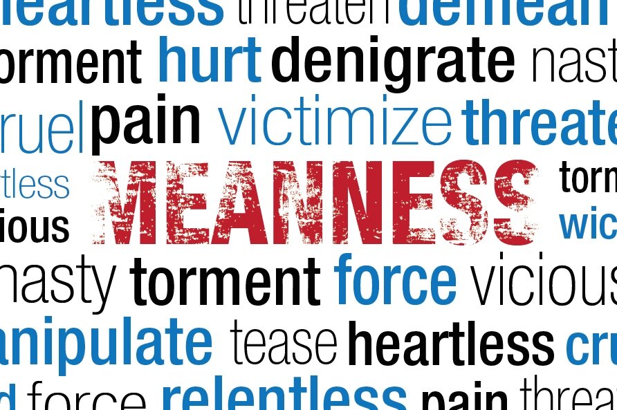 Erase Meanness, replace it with kindness