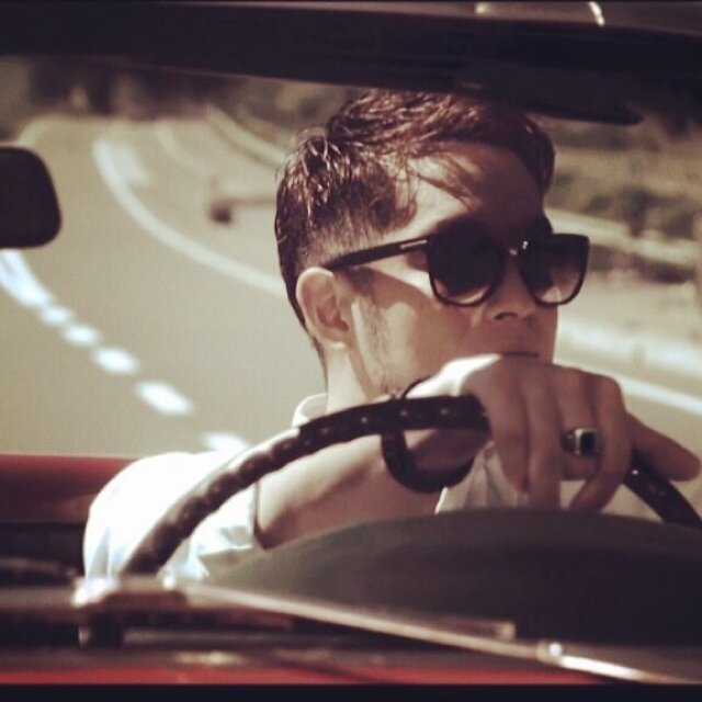 ネコ科ネコ目 | ETHGas ⛽