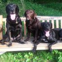 Julie Child - @davis_jules - Twitter