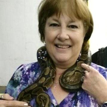 aircuervo's profile picture. 