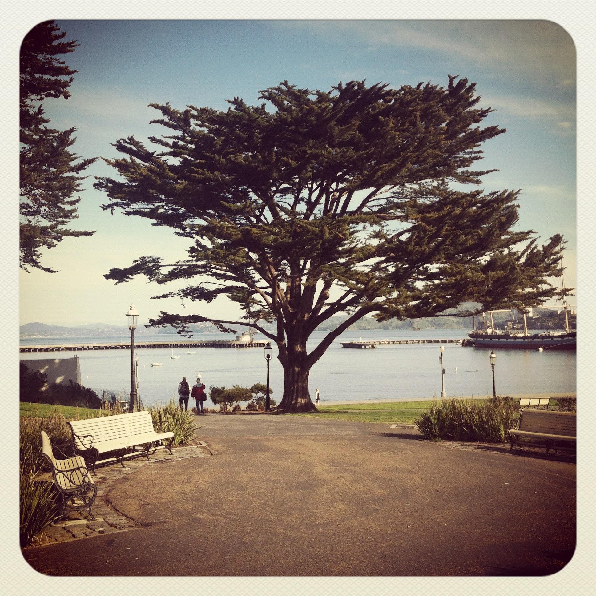 trishgroom's profile picture. Think into results.