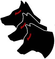 Secure Network Management LLC is a New Mexico based InfoSec company.
