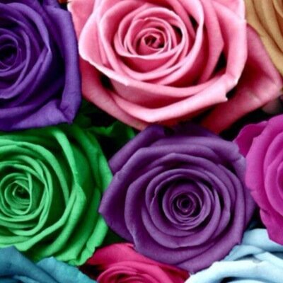 maXXSTUDIOSpro's profile picture. Incorp. Youth Enhancing Sysems, Redefining Youth, Age is but a Number, #BeTheAgeYouWant2Be. Call 0110279898 or eMail maXXSTUDIOSbody&skin@iafrica.com for info