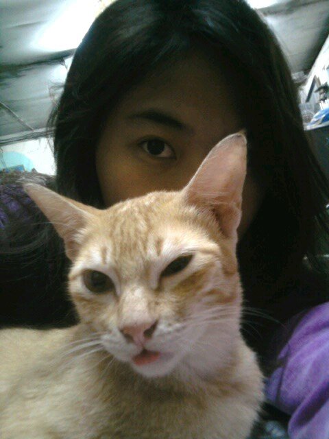 Cat Lover  Top Model ig: annamarieavl