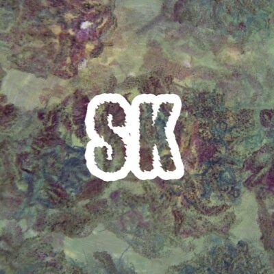 Slamzuri's profile picture. chicago | new jersey | sam.kfare@gmail.com visuals