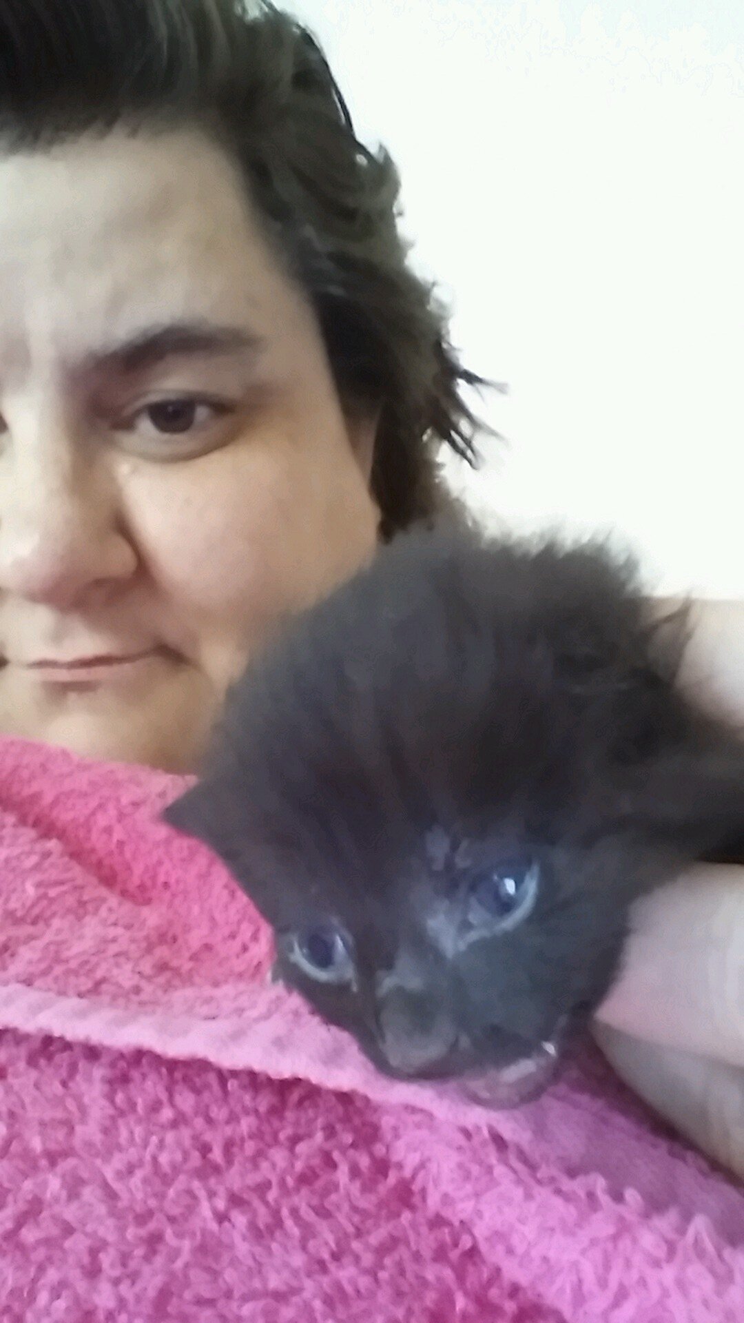 Wife. Retired athlete; current couch Coach and armchair ref. Proud Vixen. Mom to 3 horses, 11 cats and 5 dogs, all rescues.