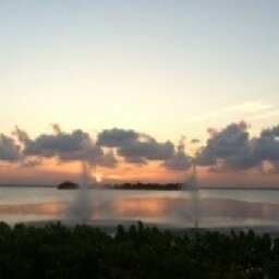 RealJulesDahsh's profile picture. Volunteer. 
Inpiration. 
Film maker.