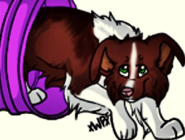 dogpatchddc's profile picture. Dog Day Care