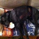 Kelly Storer Thomas - @storerthomas - Twitter