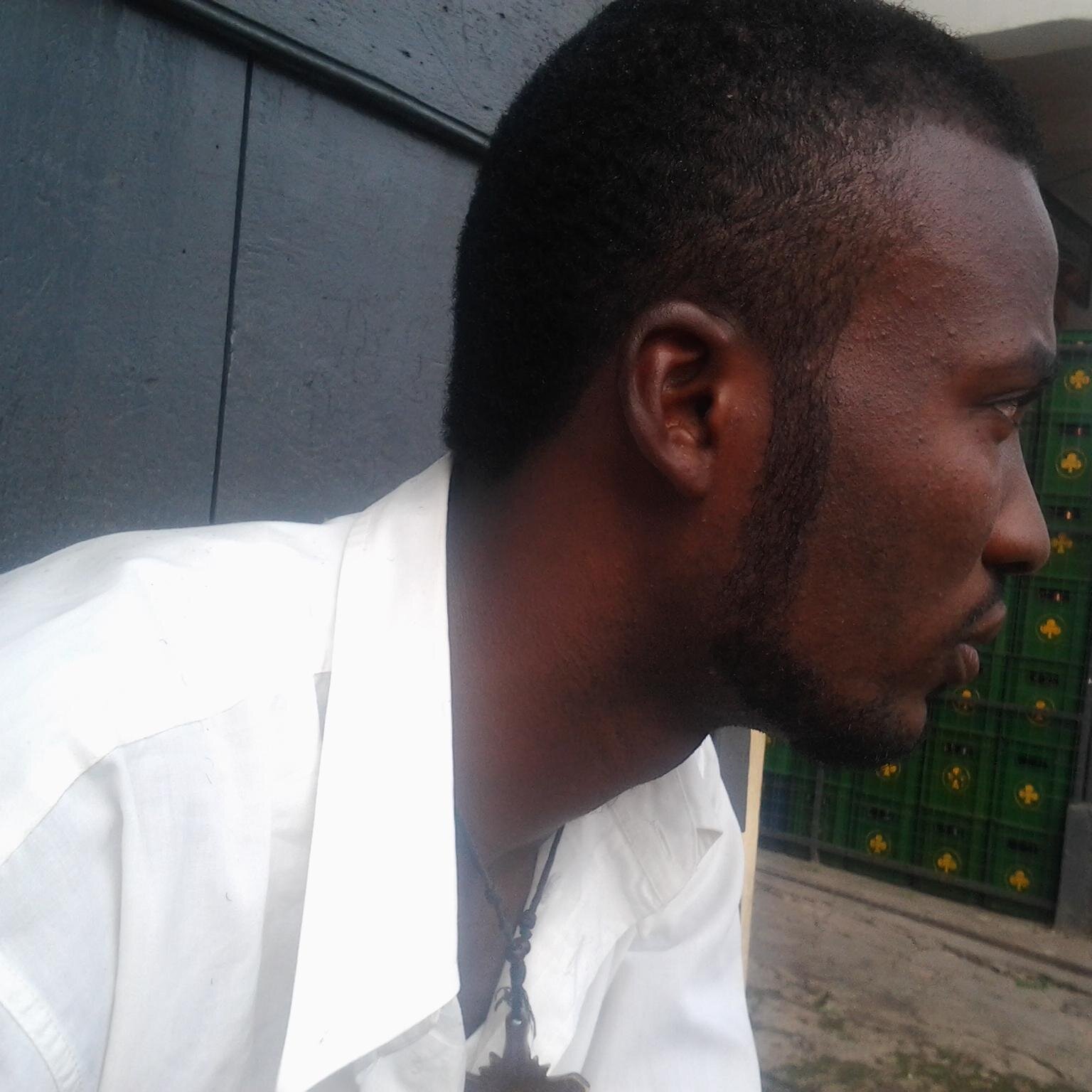 Professional Network & Security Administrator, Programmer, Website Designer & Manager, IT Consultant, Video- Movie Director & Videographer and Photographer.