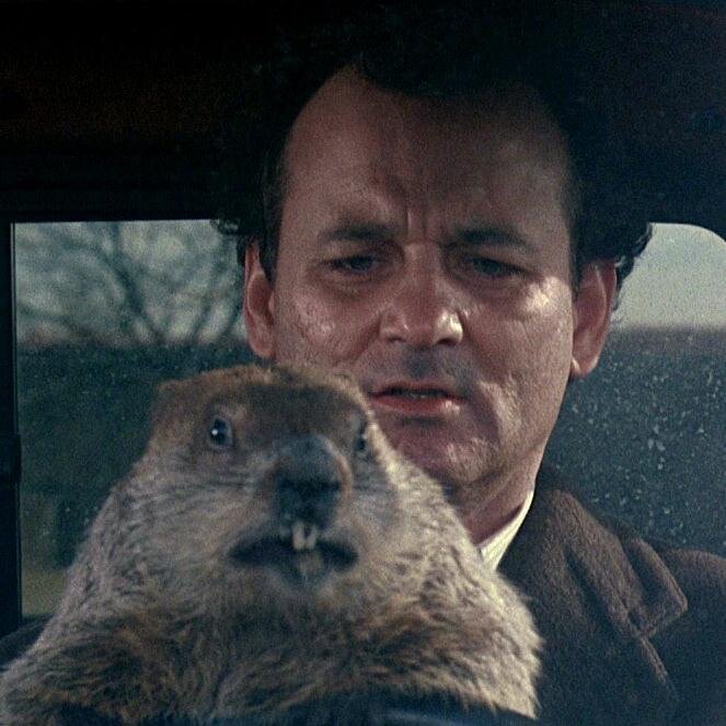 groundhog