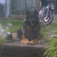 Lee bradley (@bradass1982) 's Twitter Profile