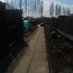 mrsrkd (@dukinfieldteach) Twitter profile photo